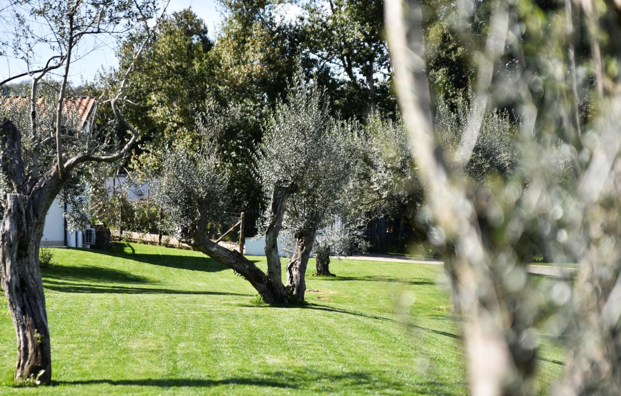 Vigna Caio Relais & Spa (Adults Only) Bracciano  Bagian luar foto